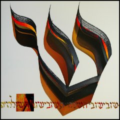 shin-kievlight
