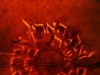 haaretz_danas
